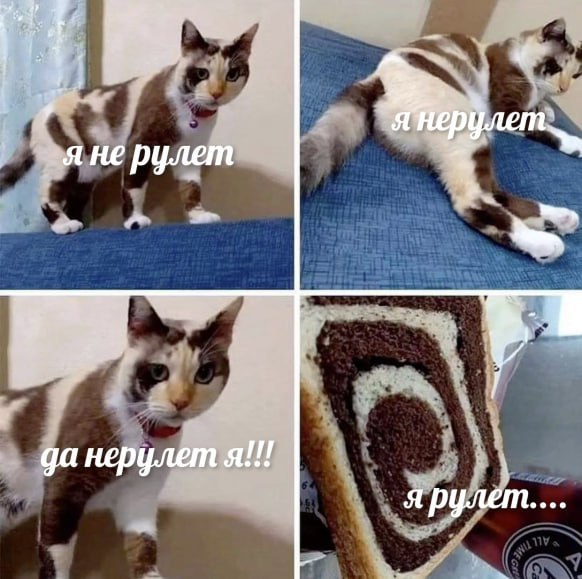 7, Pte я не рулет у да нерулет я!!! я