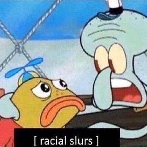 [racial slurs