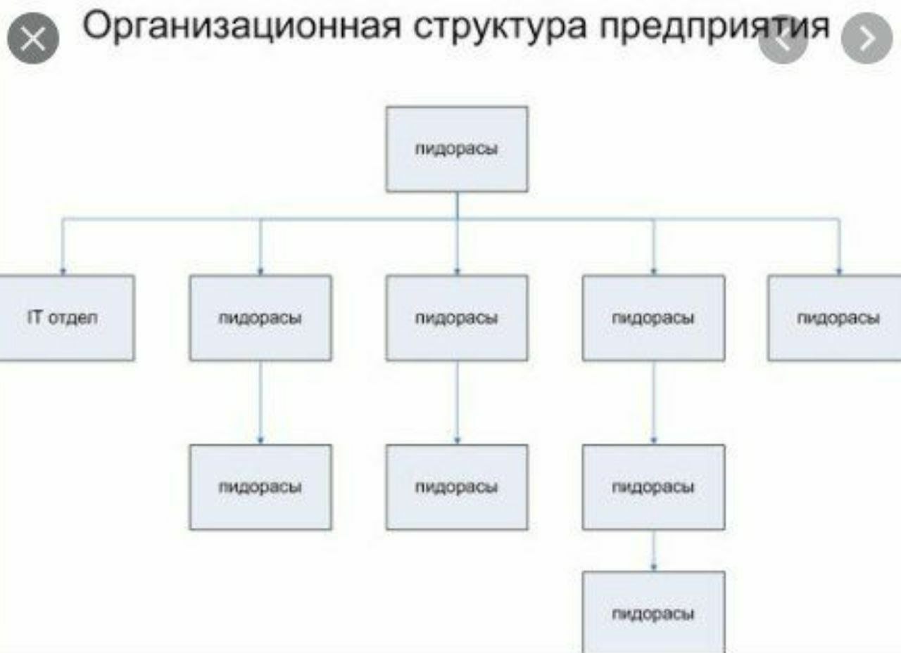 Организационная структура предприятия