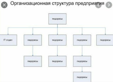 Организационная структура предприятия