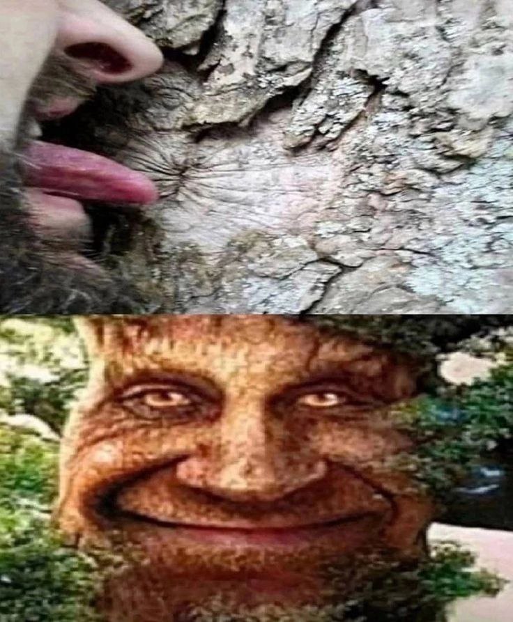 я $i 2 At 2 5 у а 4 3 4