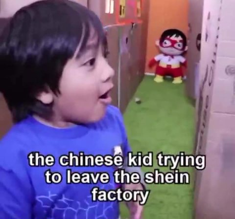 the\chinese kidjtrying tolleave thelshein f to)leave the’shein™
