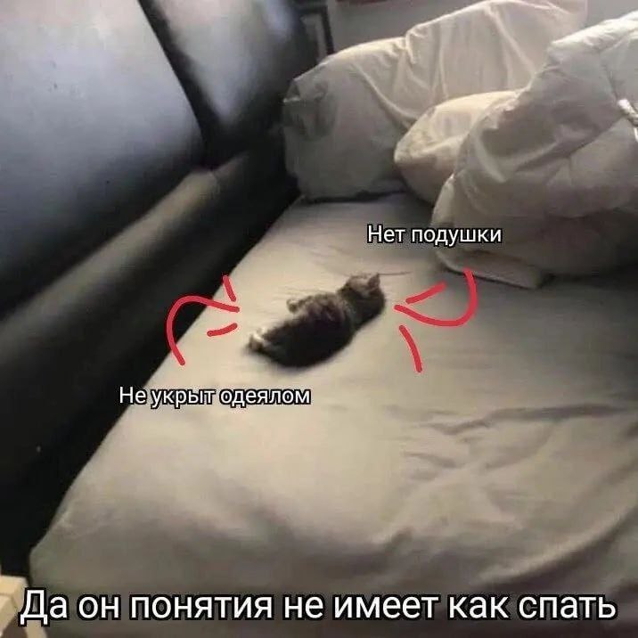 Нет подушки Не деялом он понятия не имеет как спать