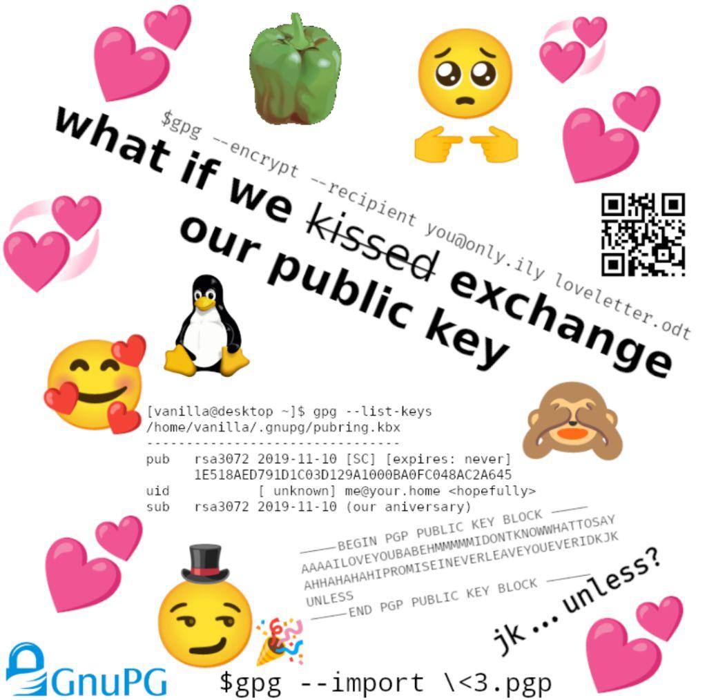 at i Nery Your i ony, A Yel, С tte К (4 к Пде [vanilla@desktop gpg --list-keys /home/vanilla/.gnupg/pubring.kbx pub rsa3072 2019-11-10 [expires: never] uid unknown] me@your.home <hopefully> sub rsa307