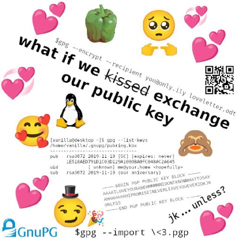 at i Nery Your i ony, A Yel, С tte К (4 к Пде [vanilla@desktop gpg --list-keys /home/vanilla/.gnupg/pubring.kbx pub rsa3072 2019-11-10 [expires: never] uid unknown] me@your.home <hopefully> sub rsa307