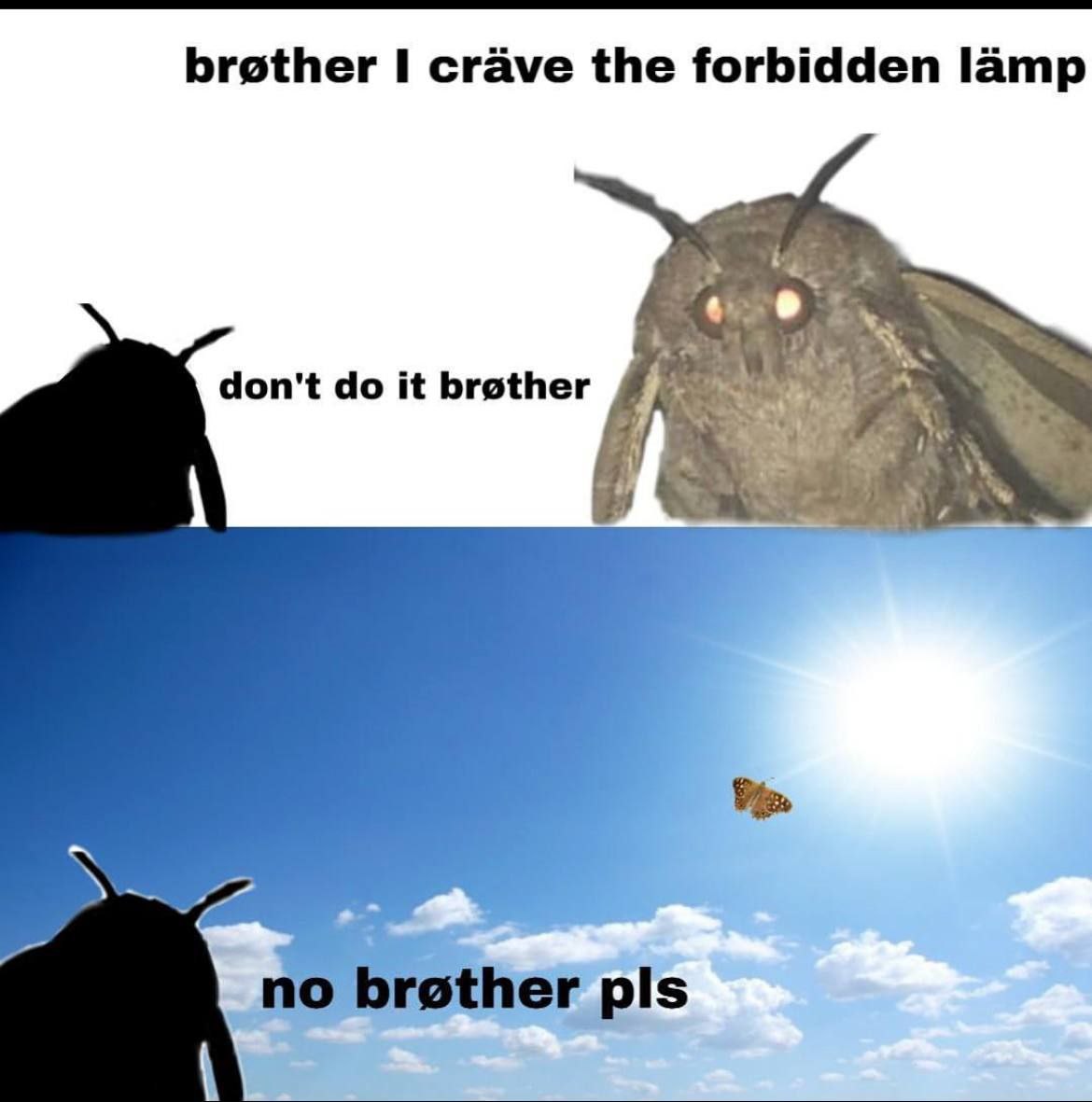 brother 1 crave the forbidden lamp don't it brother Biner
