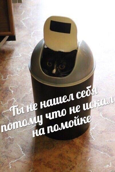 у себ 600)