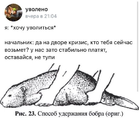 уволено вчера в 21:04 я: *хочу уволиться* начальник: да на дворе кризис, кто тебя сейчас возьмет? у нас зато стабильно платят, оставайся, не тупи 4 Рис. 23. Способ удержания бобра (ориг.)