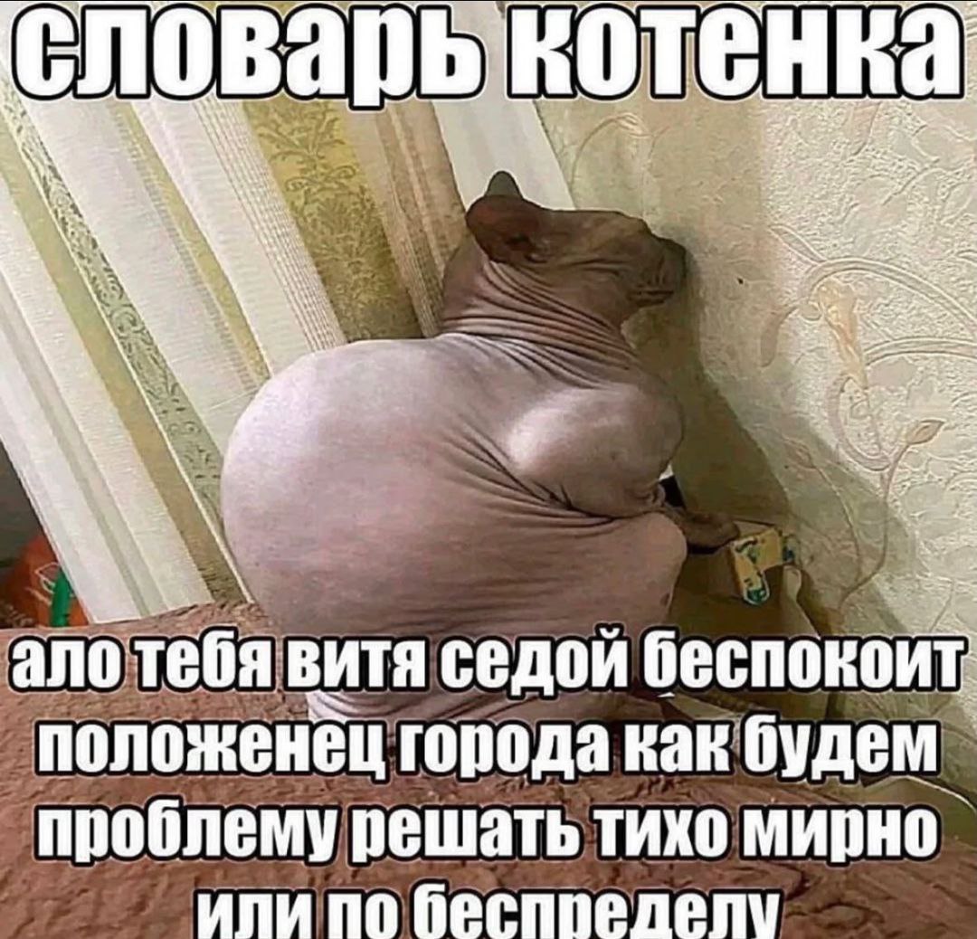 я словарькотенка А ano тебя ВИТЯ седой беспокоит У положенец города как будем проблему решать тихо мирно ипи по беспрелелу