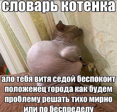 я словарькотенка А ano тебя ВИТЯ седой беспокоит У положенец города как будем проблему решать тихо мирно ипи по беспрелелу