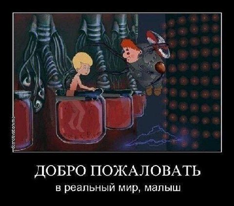 ДОБРО ПОЖАЛОВАТЬ в реальный мир, малыш