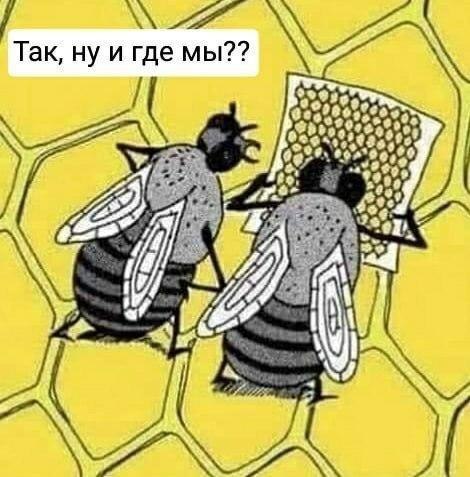 ну и гдемы?? 4 А