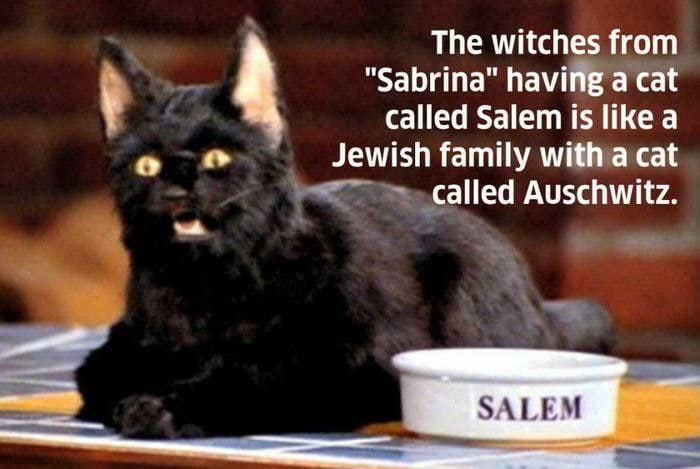 The witches from "Sabrina" having a cat 4 called Salem is like a о Jewish family with а cat called Auschwitz.