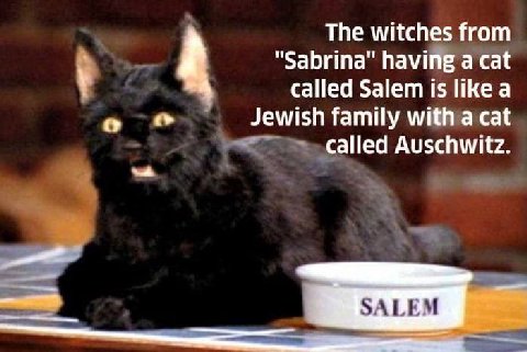 The witches from "Sabrina" having a cat 4 called Salem is like a о Jewish family with а cat called Auschwitz.