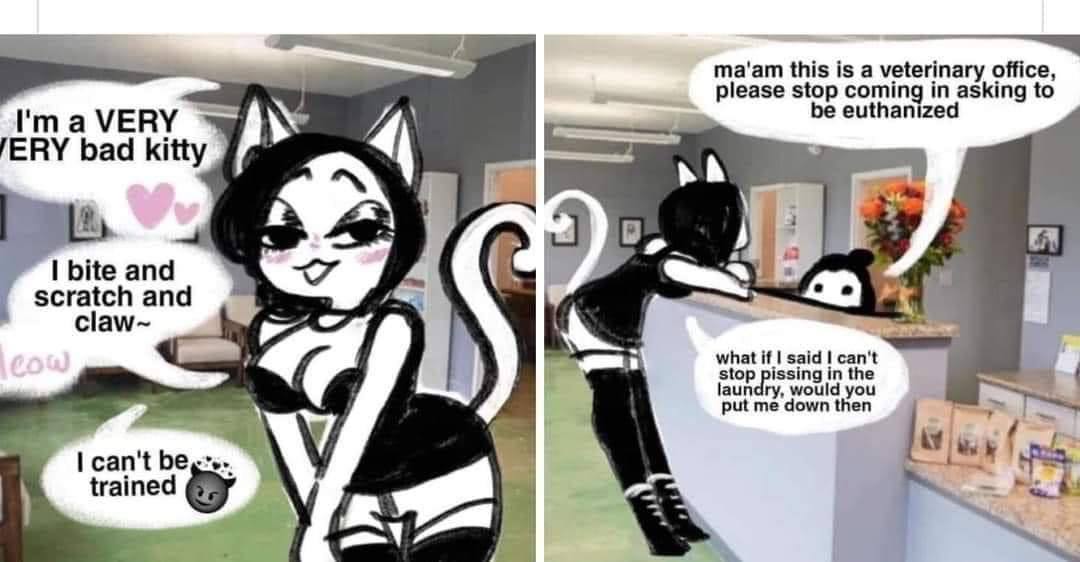 ma'am this is a veterinary office, please stop euthanized coming in asking to I'maVERY bad kitty ratch and claw~ what said can't laundry, would you stop issing in the put me down then can't trained