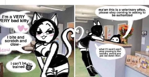 ma'am this is a veterinary office, please stop euthanized coming in asking to I'maVERY bad kitty ratch and claw~ what said can't laundry, would you stop issing in the put me down then can't trained