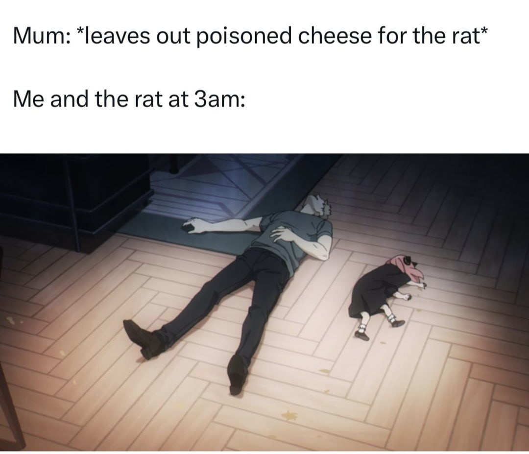 Mum: out poisoned cheese for the rat* Me and the rat at