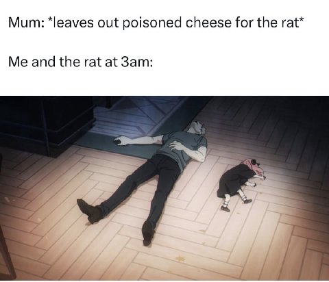 Mum: out poisoned cheese for the rat* Me and the rat at