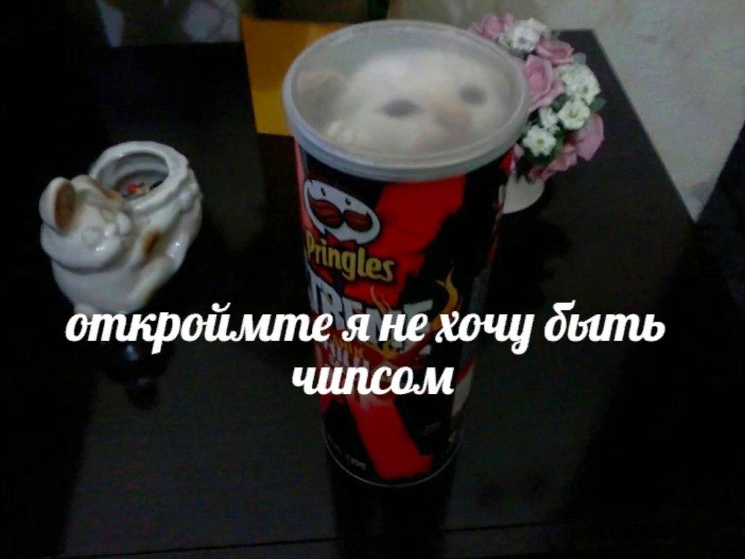 откроймте я не хочу чилсом