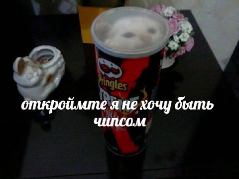 откроймте я не хочу чилсом
