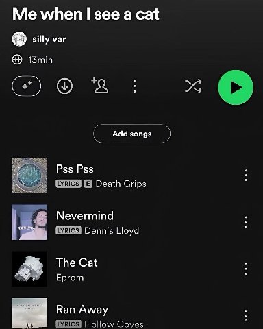 Me when see a cat silly var 1Smin Add songs Pss Pss Death Grips Nevermind Dennis Lloyd The Cat Eprom у Кап Away Coves