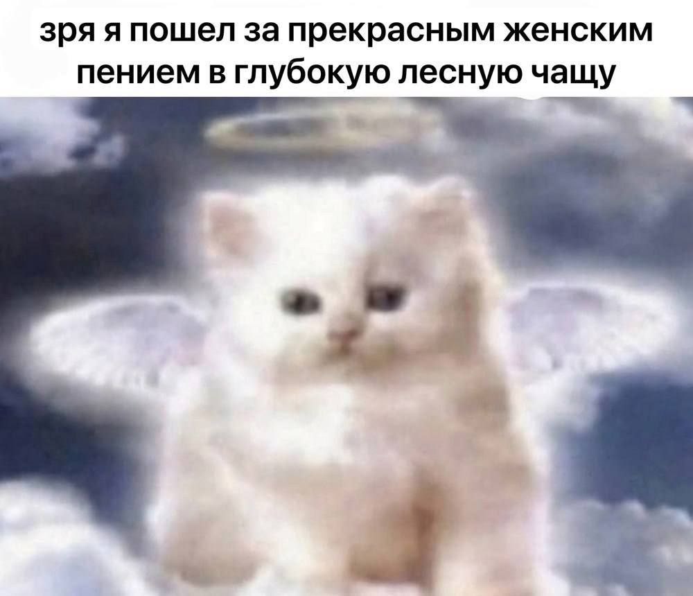зря я пошел за прекрасным женским пением в глубокую лесную чащу