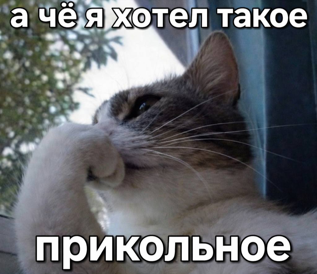 каждый поход в магазин происходит это: