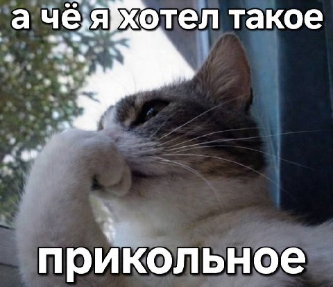 каждый поход в магазин происходит это: