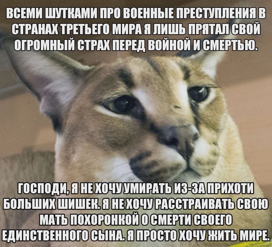 ВСЕМИ ШУТКАМИ ПРО ВОЕННЫЕ ПРЕСТУПЛЕНИЯ В СТРАНАХ ТРЕТЬЕГО МИРА Я ЛИШЬ ПРЯТАЛ СВОЙ ОГРОМНЫЙ СТРАХ ПЕРЕД ВОЙНОЙ И СМЕРТЬЮ. ГОСПОДИ, Я НЕХОЧУ УМИРАТЬ ПРИХОТИ БОЛЬШИХ ШИШЕЕ. Я НЕХОЧУ РАССТРАИВАТЬ СВОЮ МАТ