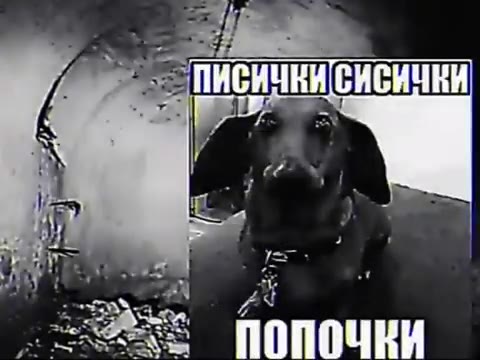oe ПИСИЧкИСИСИЧки ee ПИСИЧНИ[СИСИЧЕИ ee ПИСичнИСиСички „еее ПОПОЧЕИ