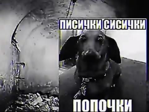 oe ПИСИЧкИСИСИЧки ee ПИСИЧНИ[СИСИЧЕИ ee ПИСичнИСиСички „еее ПОПОЧЕИ