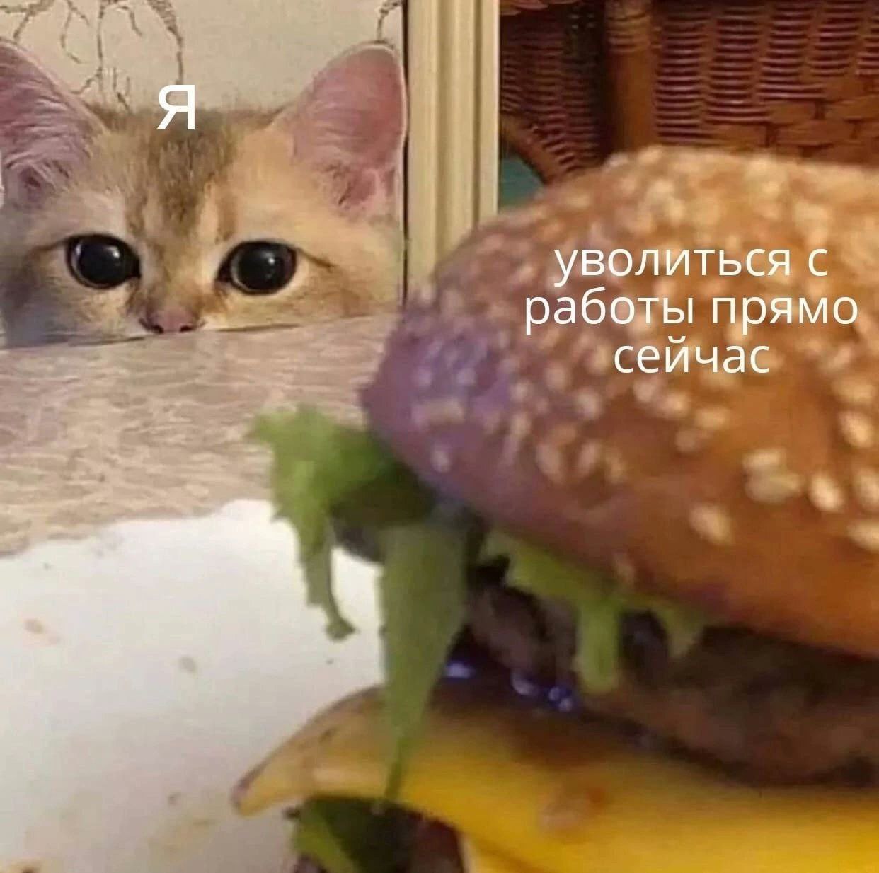 Я уволиться с работы прямо сейчас