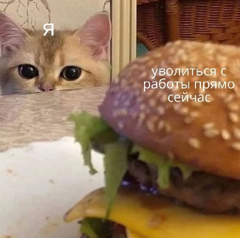 Я уволиться с работы прямо сейчас
