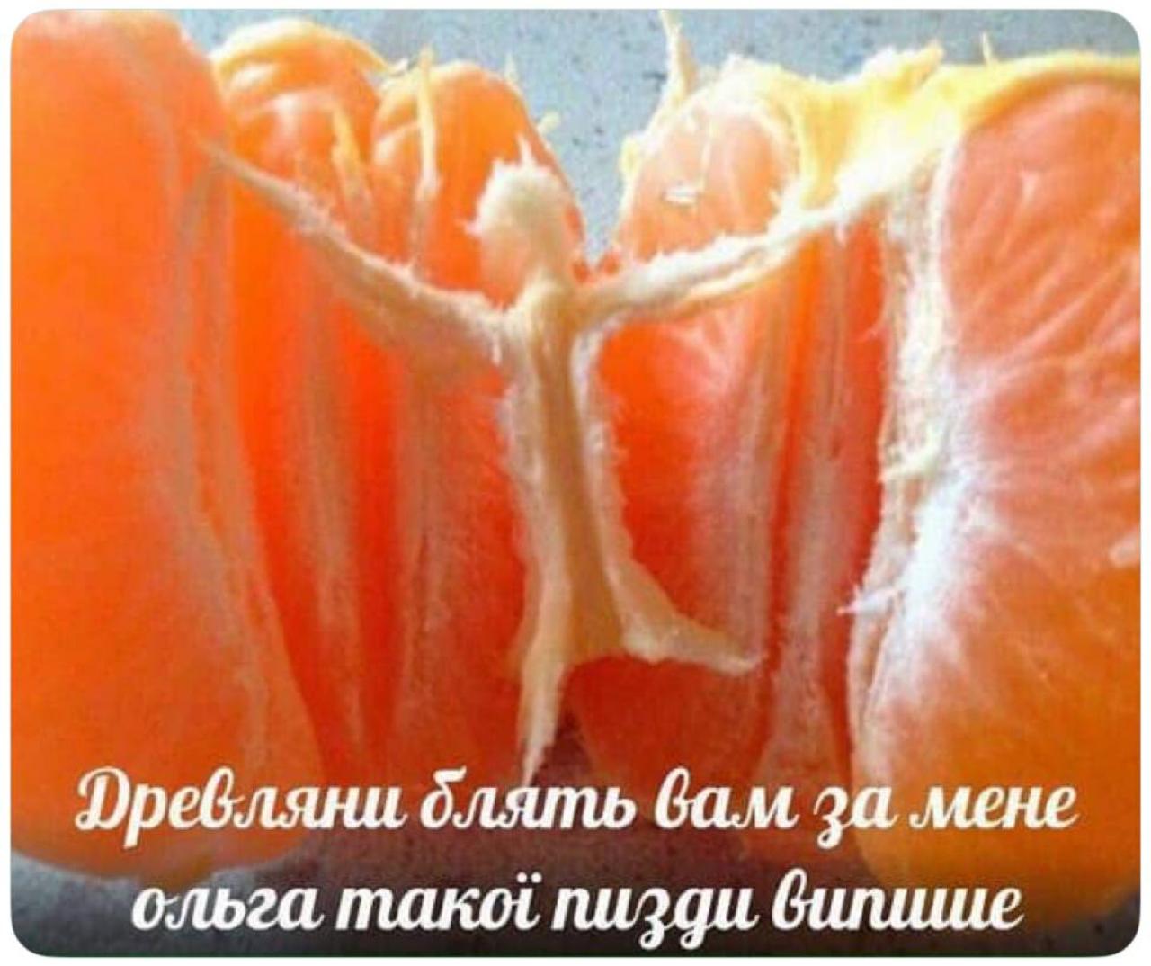 Фревляни блять бам за мене ольга пизди вилише