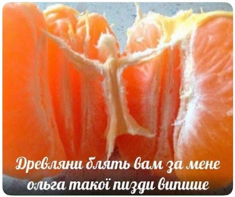 Фревляни блять бам за мене ольга пизди вилише