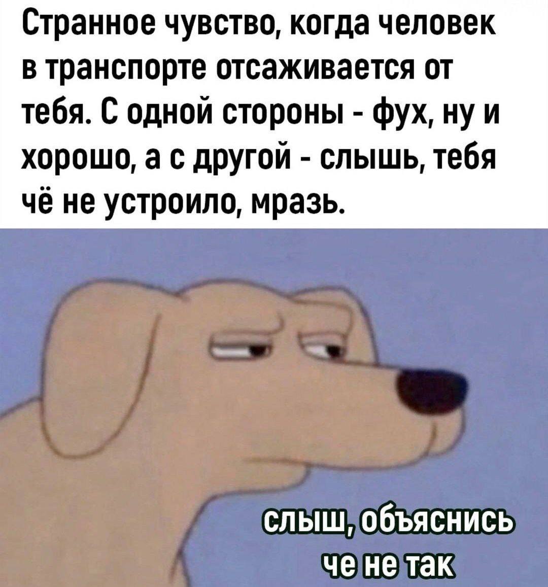 Странное чувство, когда человек в транспорте отсаживается от тебя. С одной стороны фух, ну и хорошо, а с другой слышь, тебя чё не устроило, мразь. ченетак