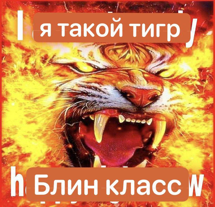я такой тигр Я у. А. Блин класс 4 у
