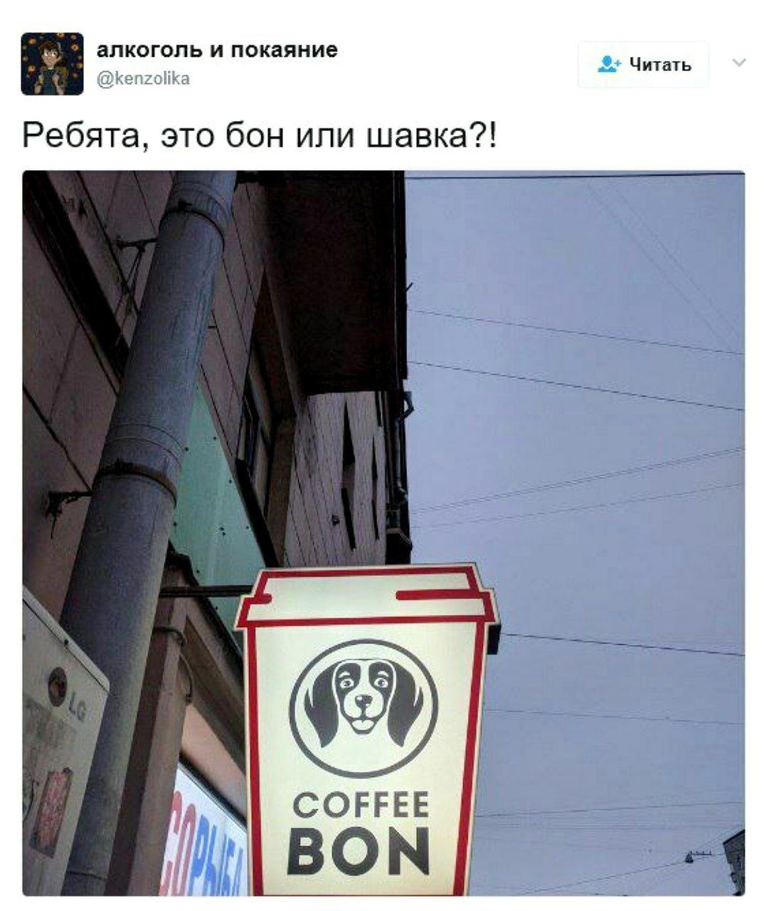 и покаяние Читать Ребята, это бон или шавка?! COFFEE BON