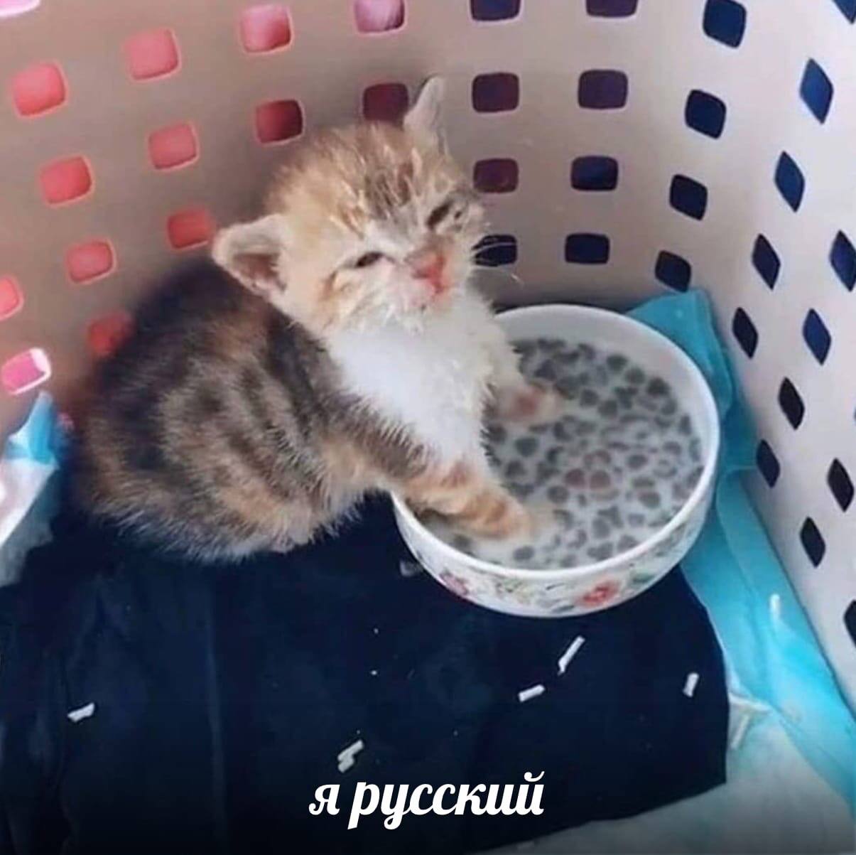 я русский