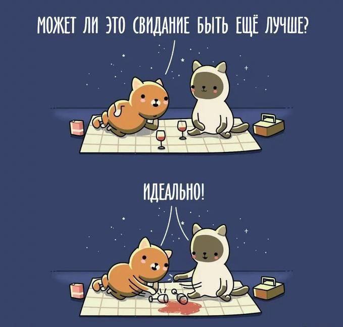 МОЖЕТ ЛИ ЭТО (ВИДАНИЕ БЫТЬ ЕЩЕ ЛУЧШЕ? ИДЕАЛЬНО!