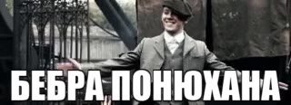 БЕБРА ПОНЮХАНА