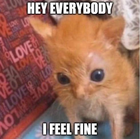 HEY EVERYBODY FEEL FINE