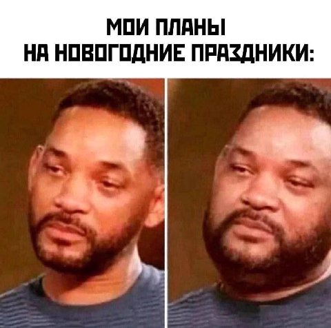 МОИ ПЛАНЫ НА НОВОГОДНИЕ ПРАЗДНИКИ:
