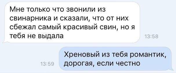 Мне только что звонили из свинарника и Сказали, что от них сбежал самый красивый свин, я тебя не выдала Хреновый из тебя романтик, дорогая, если честно