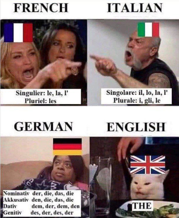 ЕВЕМСН ITALIAN Singulier: I’ Singolare: Pluriel: les Plurale: i, gli, GERMAN ENGLISH Nominativ der, den, die, das, dic Dativ dem, der, dem, den РатнЕ