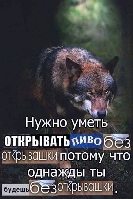 Нужно уметь открывашки потому что однажды ты