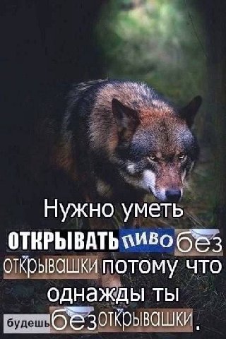 Нужно уметь открывашки потому что однажды ты