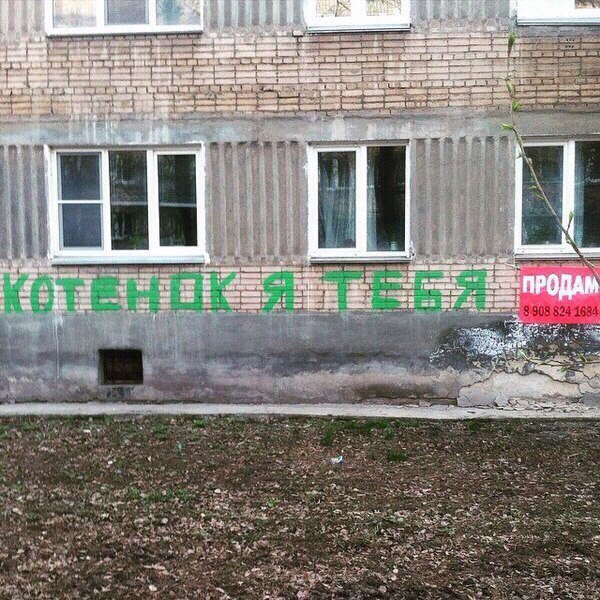 55 28; 208 Seed 467 a =a at me a ПРОДАМ ant