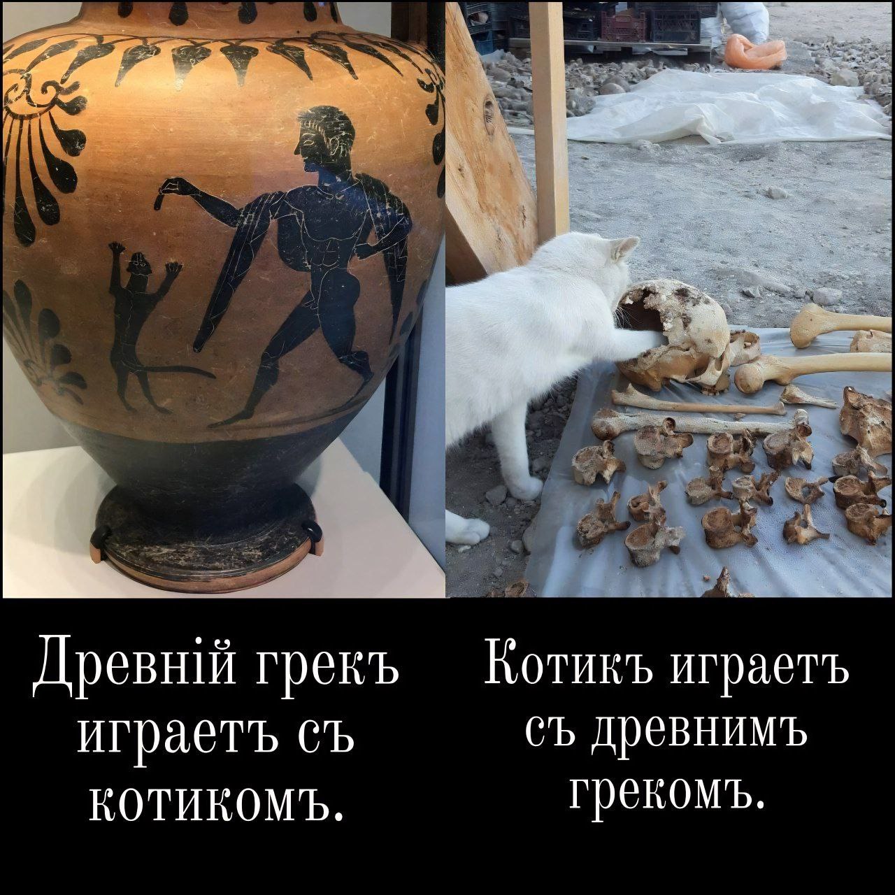 Древний грекъ Котикъ играетъ играетъ древнимъ КОТИКОМЪ. грекомъ.