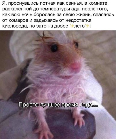 Я, проснувшись потная как свинья, в комнате, раскаленной до температуры ада, после того, как всю ночь боролась за свою жизнь, спасаясь от комаров и задыхаясь от недостатка кислорода, но зато на дворе 